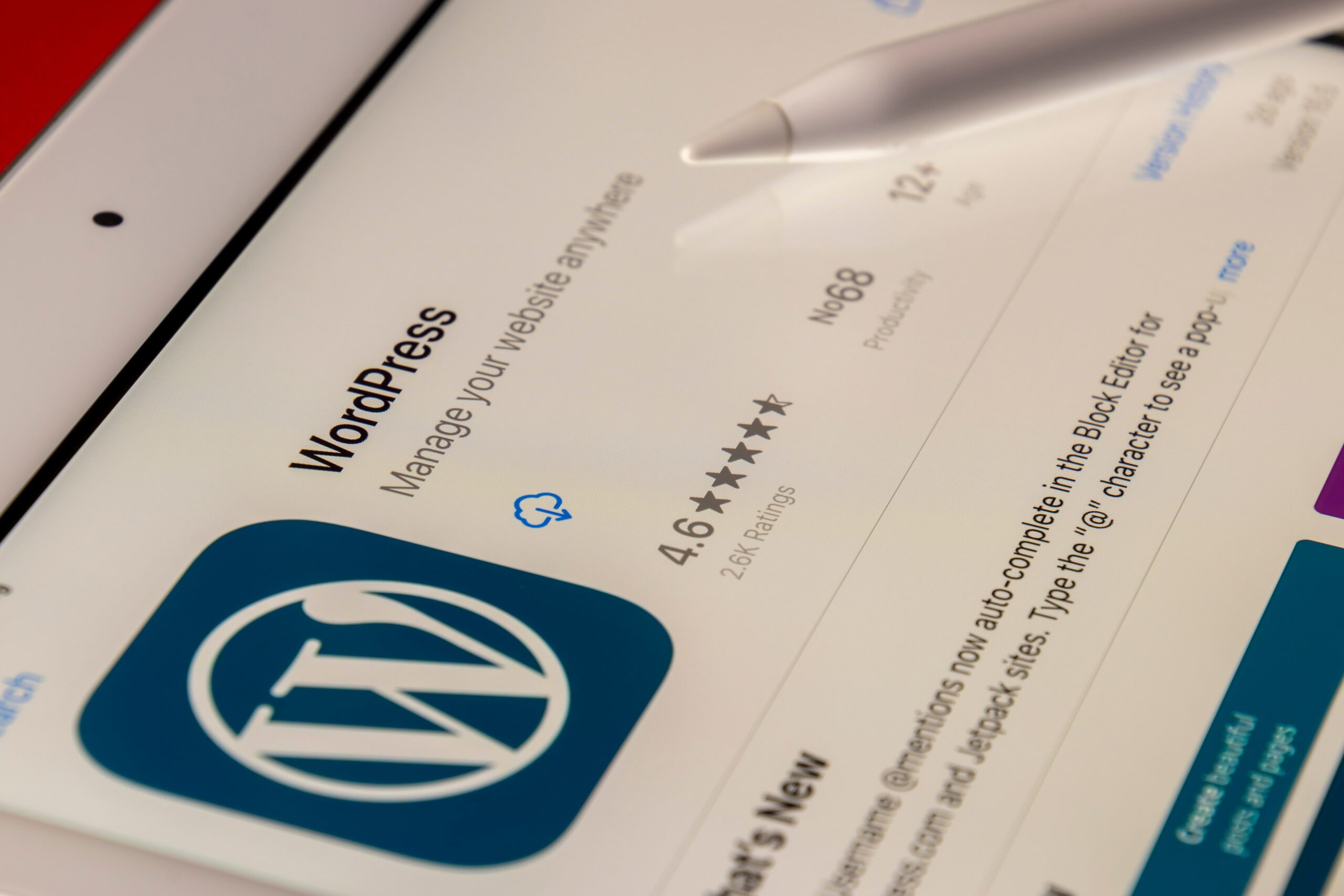 WordPress Website